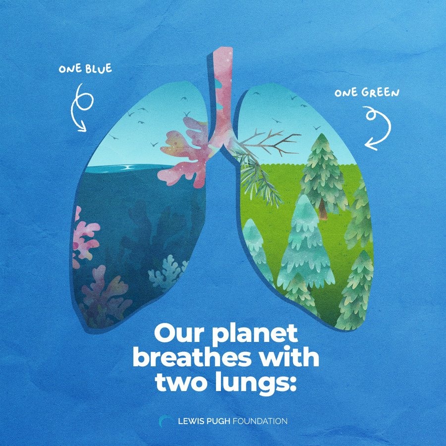 UN Biodiversity (@unbiodiversity) on Twitter photo With every breath you take, thank the Ocean. More than half of Earth’s oxygen comes from it! 🌊🫁 💙
via <a href="/LewisPughFDN/">Lewis Pugh Foundation</a> With every breath you take, thank the Ocean. More than half of Earth’s oxygen comes from it! 🌊🫁 💙
via <a href="/LewisPughFDN/">Lewis Pugh Foundation</a>