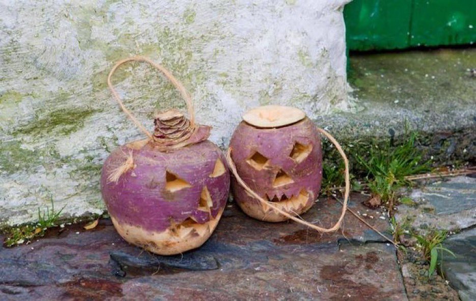 Turnips, not pumpkins.