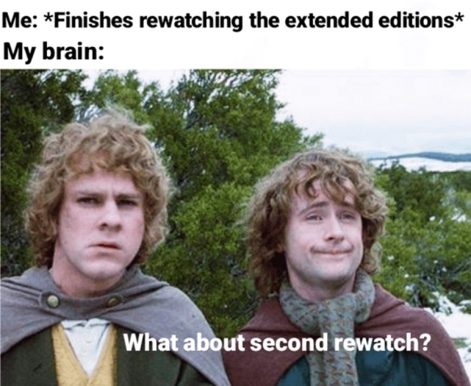 Lord of the Rings Memes tweet media