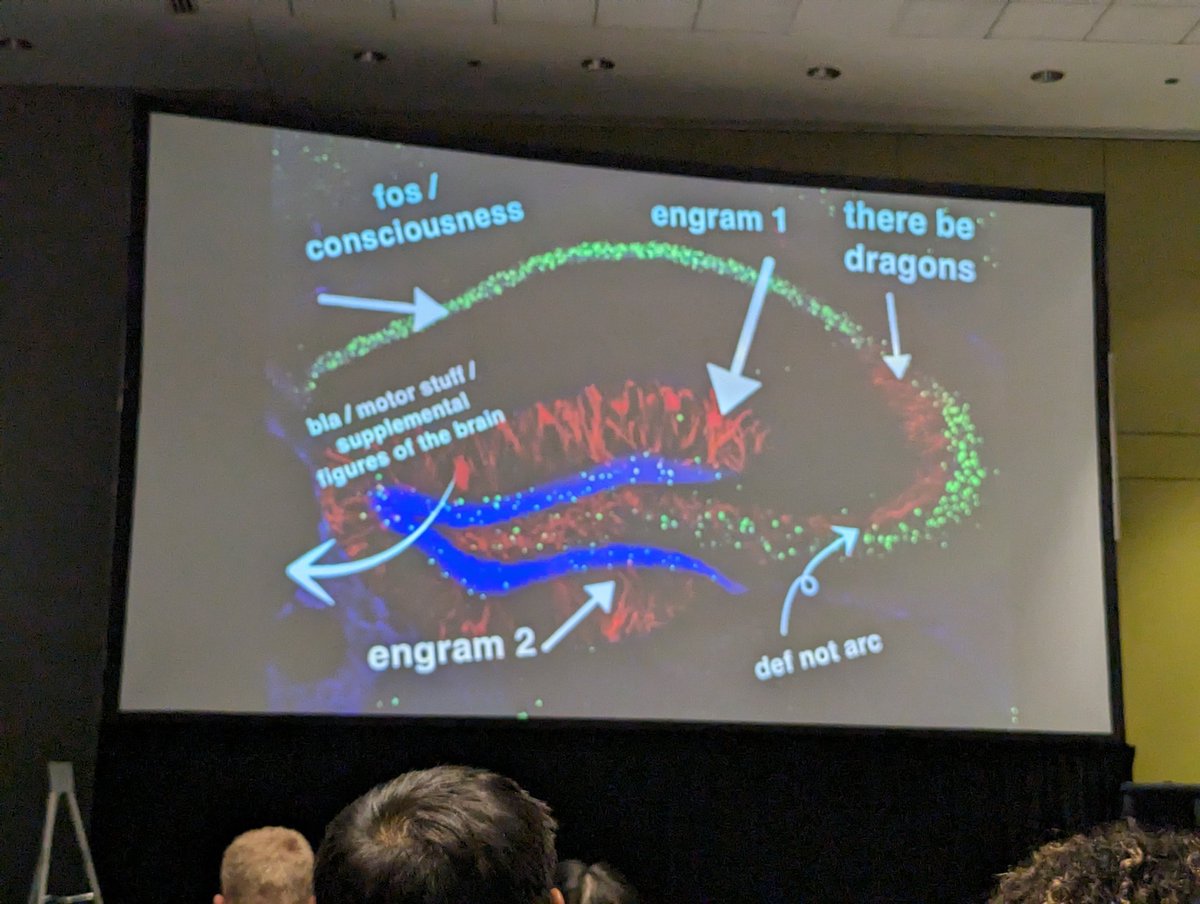 MCCStweets's tweet image. Spontaneous activity as a modulator of engram allocation, and hippocampal astrocytic sequences by @okaysteve at @BU_Tweets
#MCCS24