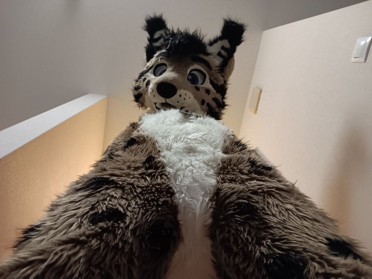 Sus 
#FursuitFriday 😁
