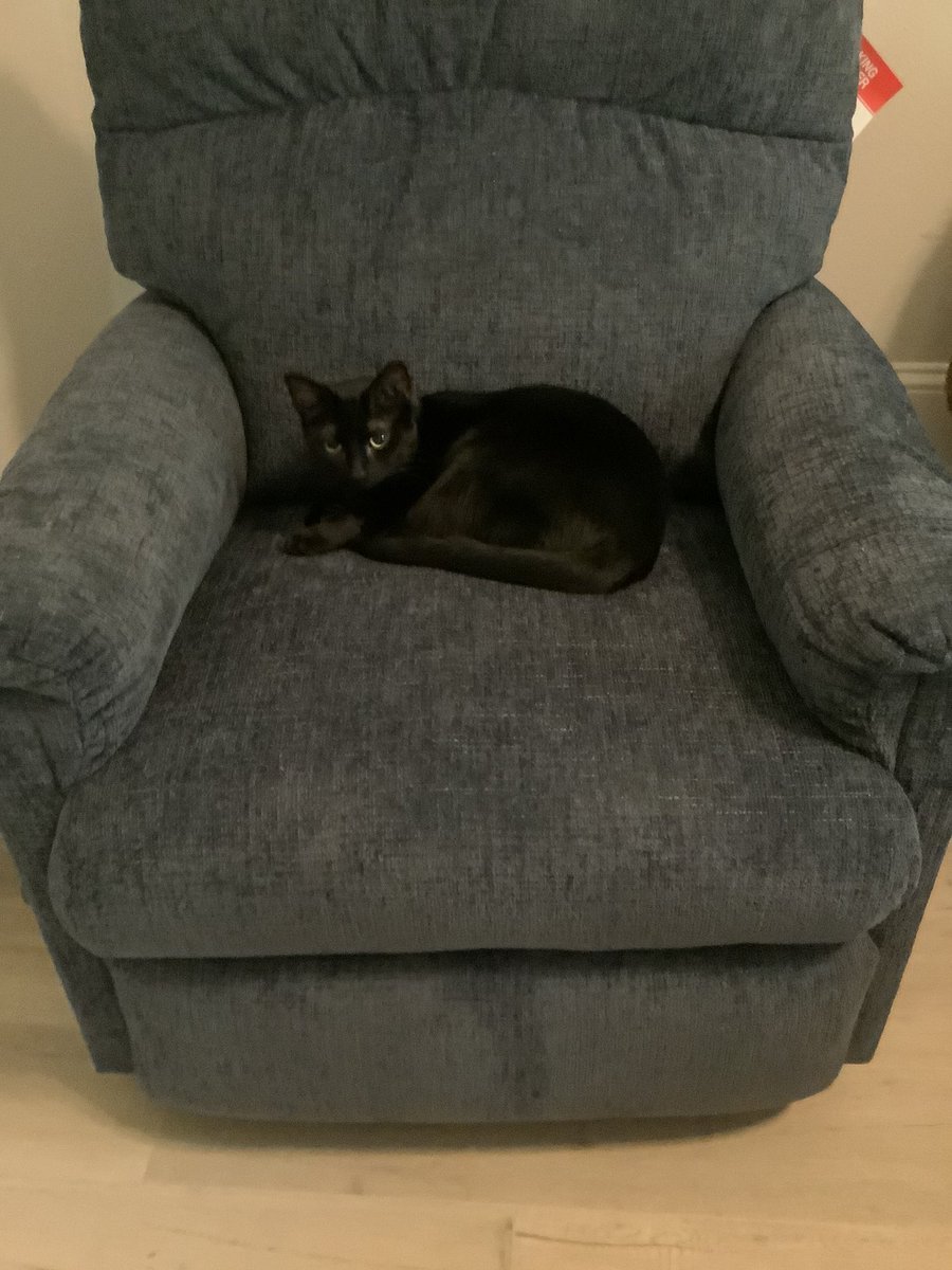 New chair. I haven’t sat in it. All 3 of the cats and hubs have.
