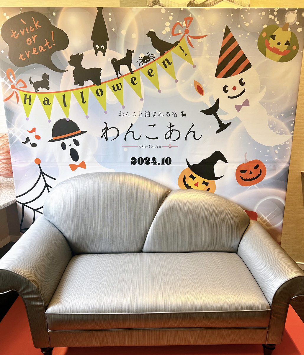 OneCoAn's tweet photo. いっぱい写真撮ってください♪ https://t.co/8zzzo1rtWp