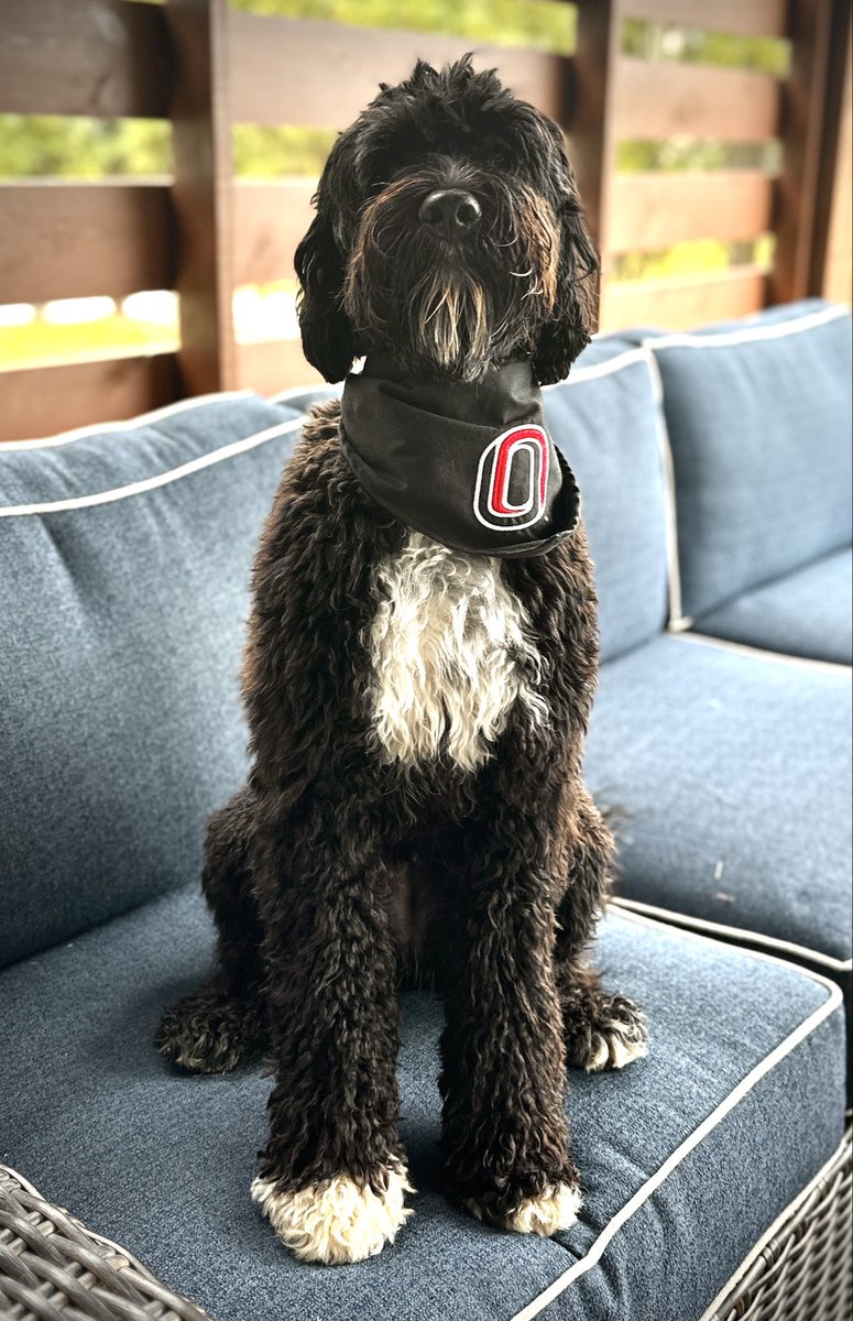 Fr_Dan_Andrews's tweet photo. Ready for @OmahaHKY season. Go Mavs!
#MavCatholic https://t.co/MgAm7uYR1j