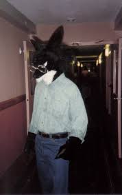 I Love Cute tweet media