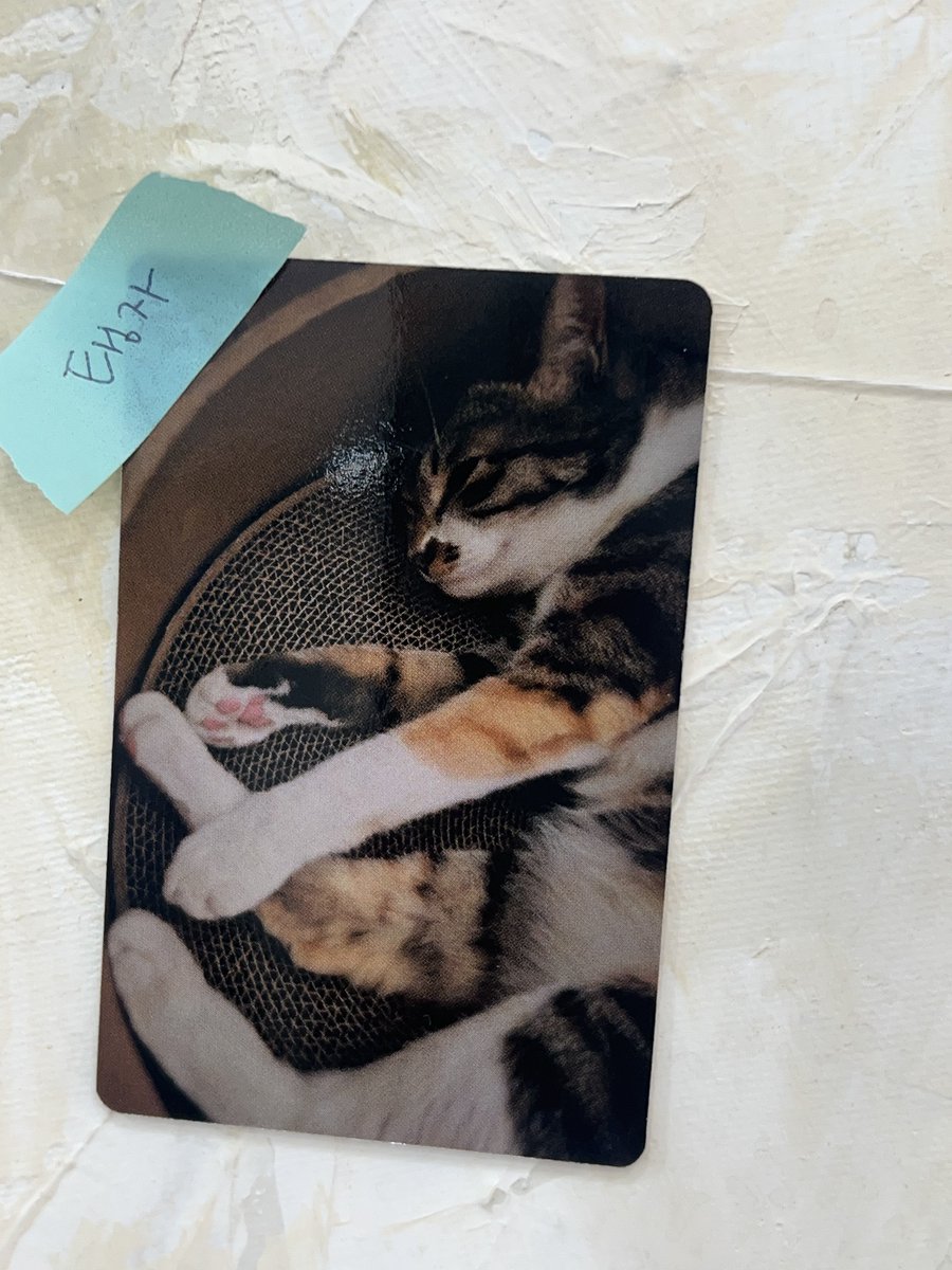 브로 (@rowoon9687) on Twitter photo 