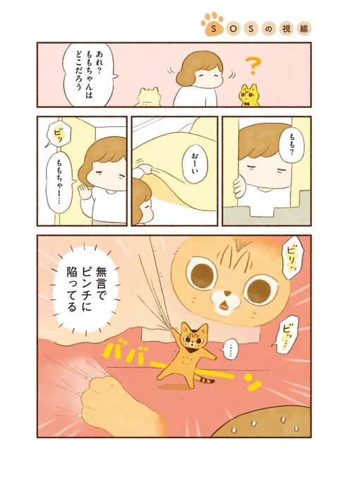 猫エッセイ
まとめ読み5本立て①
(1/5) 