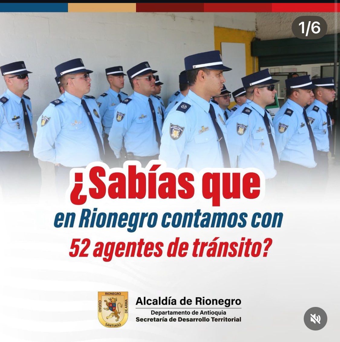 Daniela Arbeláez tweet media