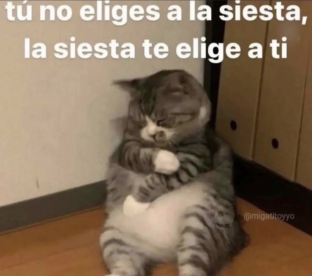 Guarromantico_'s tweet photo. Asies. https://t.co/uDX3S6tROW