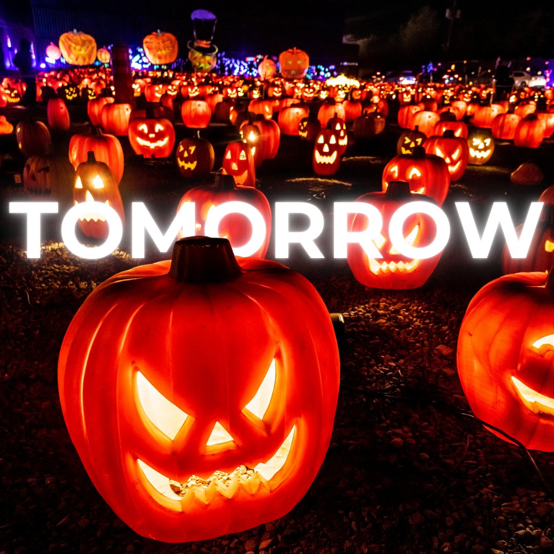 illumiToronto's tweet photo. 🕯 | Pumpkins are lit and TOMORROW #illumiToronto returns!!!!!! 

7:15PM. Tickets still available. #VisitMississauga 

#GTAEvents #TorontoHalloween https://t.co/NxCtFinqWU