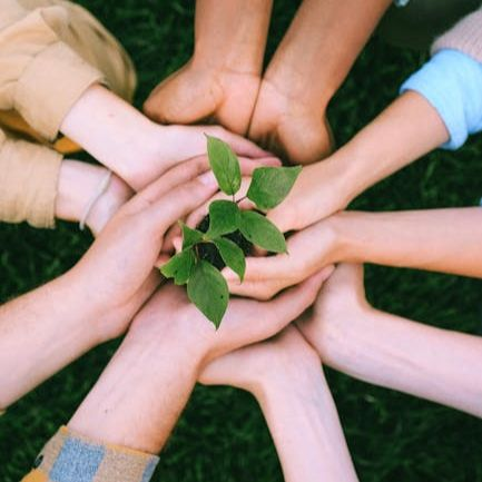 ChamberMHCC's tweet photo. The chamber supports nonprofits through networking, exposure and volunteer efforts. Join the chamber network to gain resources and connections to strengthen your mission. https://t.co/WUAhyWkDzG