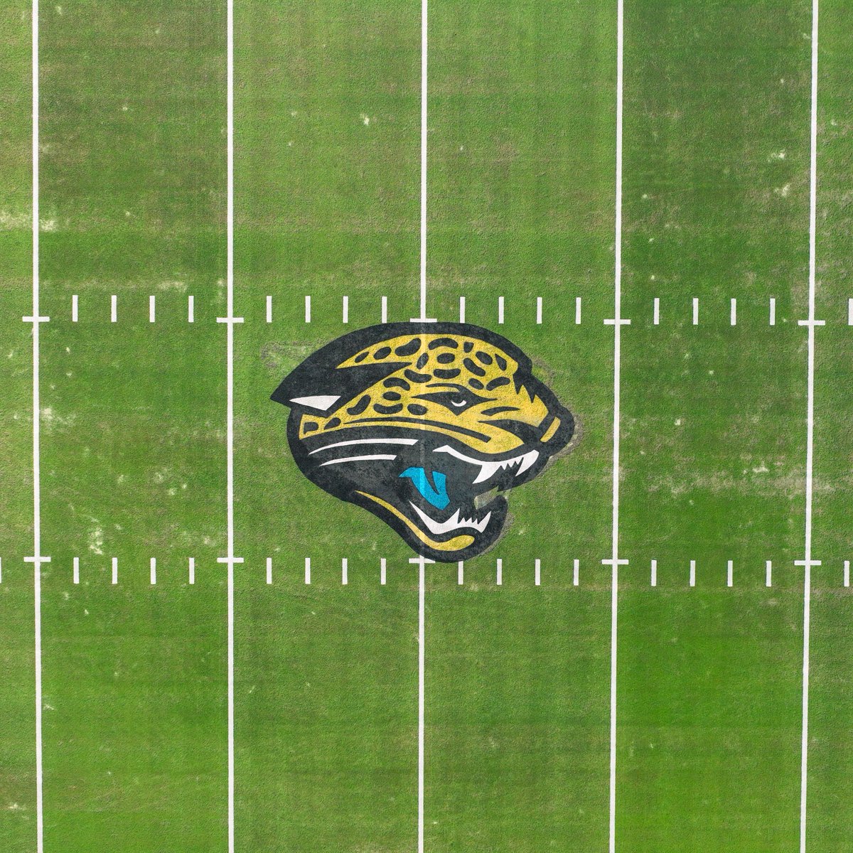 RandomJaguars's tweet photo. Holy cowabunga  https://t.co/I2b26P8Ind