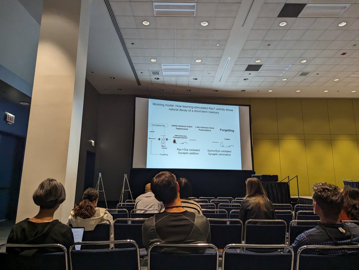 MCCStweets's tweet image. Final talk of the symposium - @YiZhongLab on dynamic mechanisms of natural forgetting.
#MCCS24
#SfN24