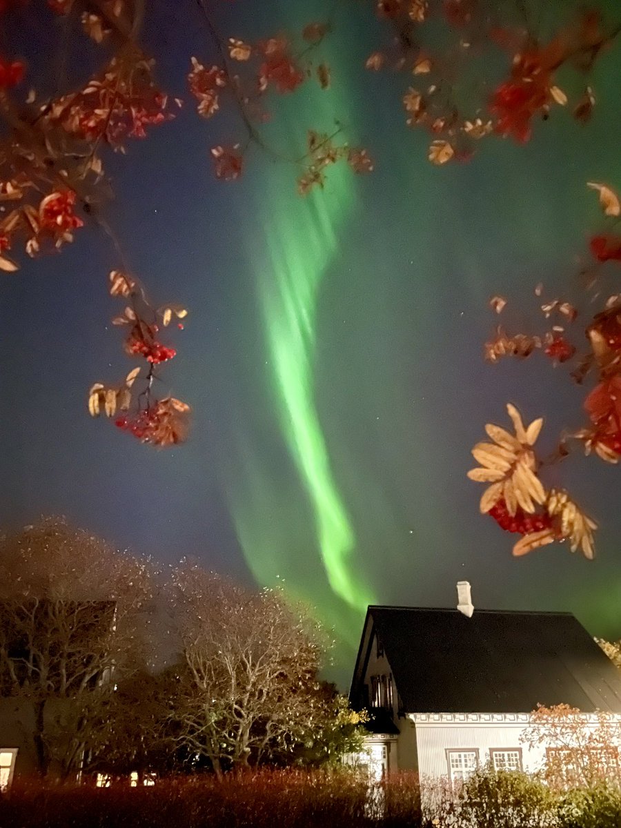 Autumn lights in #Reykjavik tonight. #aurora #Iceland