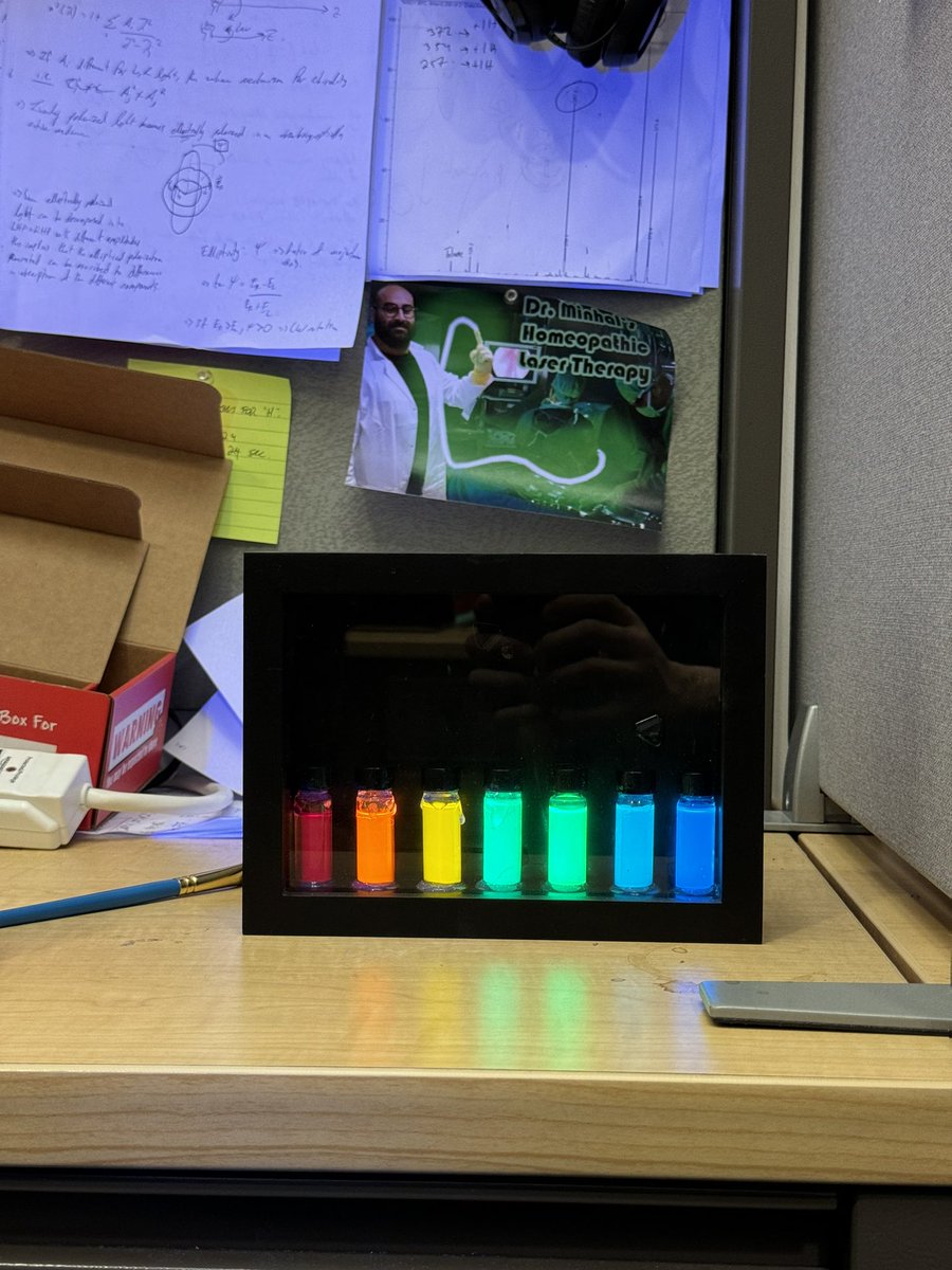 Minhal Hasham tweet media