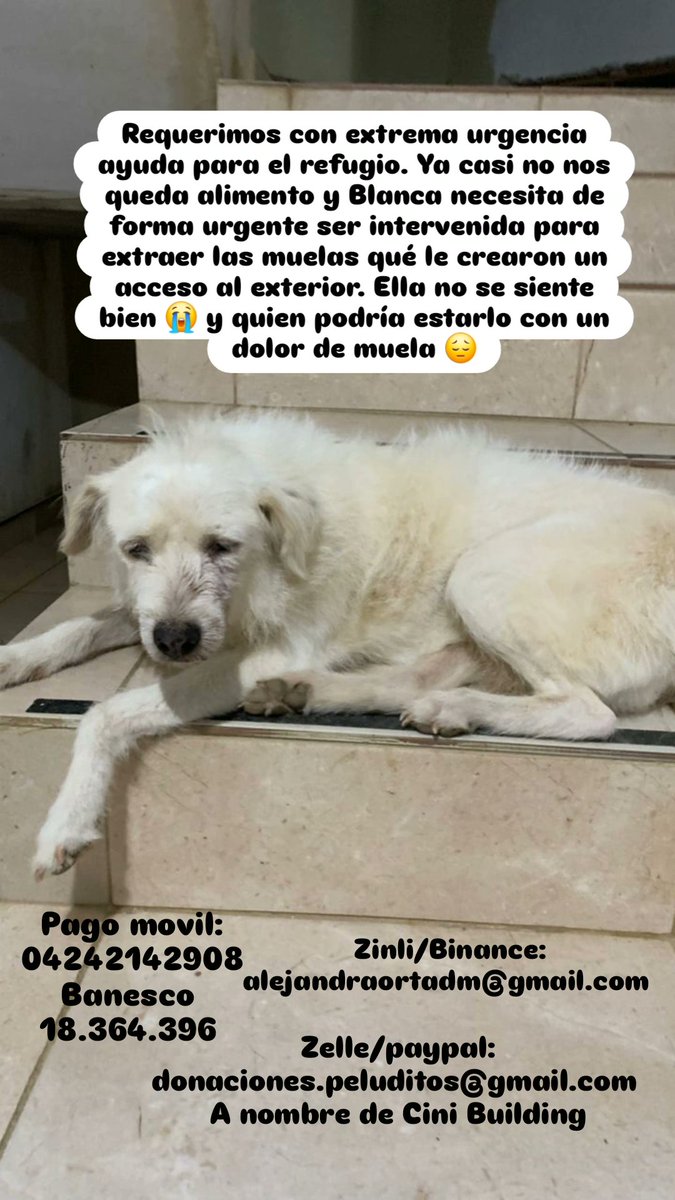 Ayudemos a Blanca 🙏🏼😔