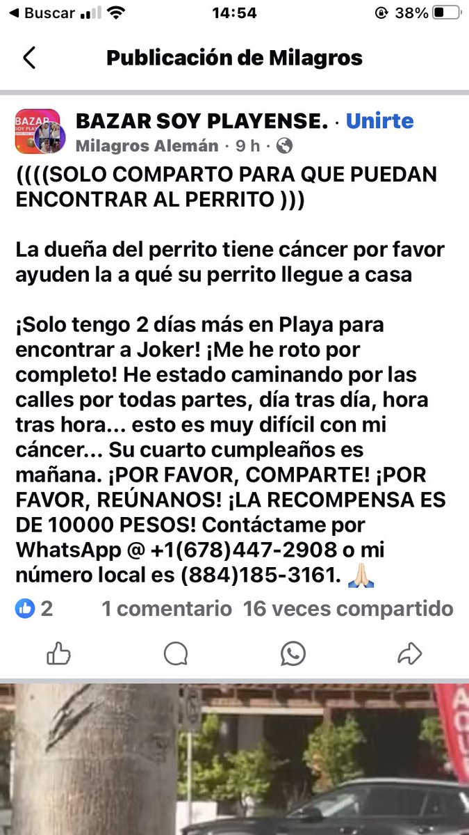 HamuiZyr's tweet photo. #PlayaDelCarmen AYUDA!!!!! 🆘🆘🆘🆘🆘🆘🆘🆘🆘🆘🆘🆘 https://t.co/cV7OkmhTVv