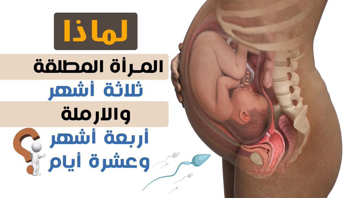 لماذا عدة طلاق المرأة ثلاثة اشهر وعدة الأرملة أربعة اشهر وعشرة ايام؟!
العالم روبرت غيلهم اعلن اسلامه بمجرد ان اكتشف السبب ..
راح اترك لكم التفاصيل تحت التغريدة

فضلها وتابع معي 🤍..