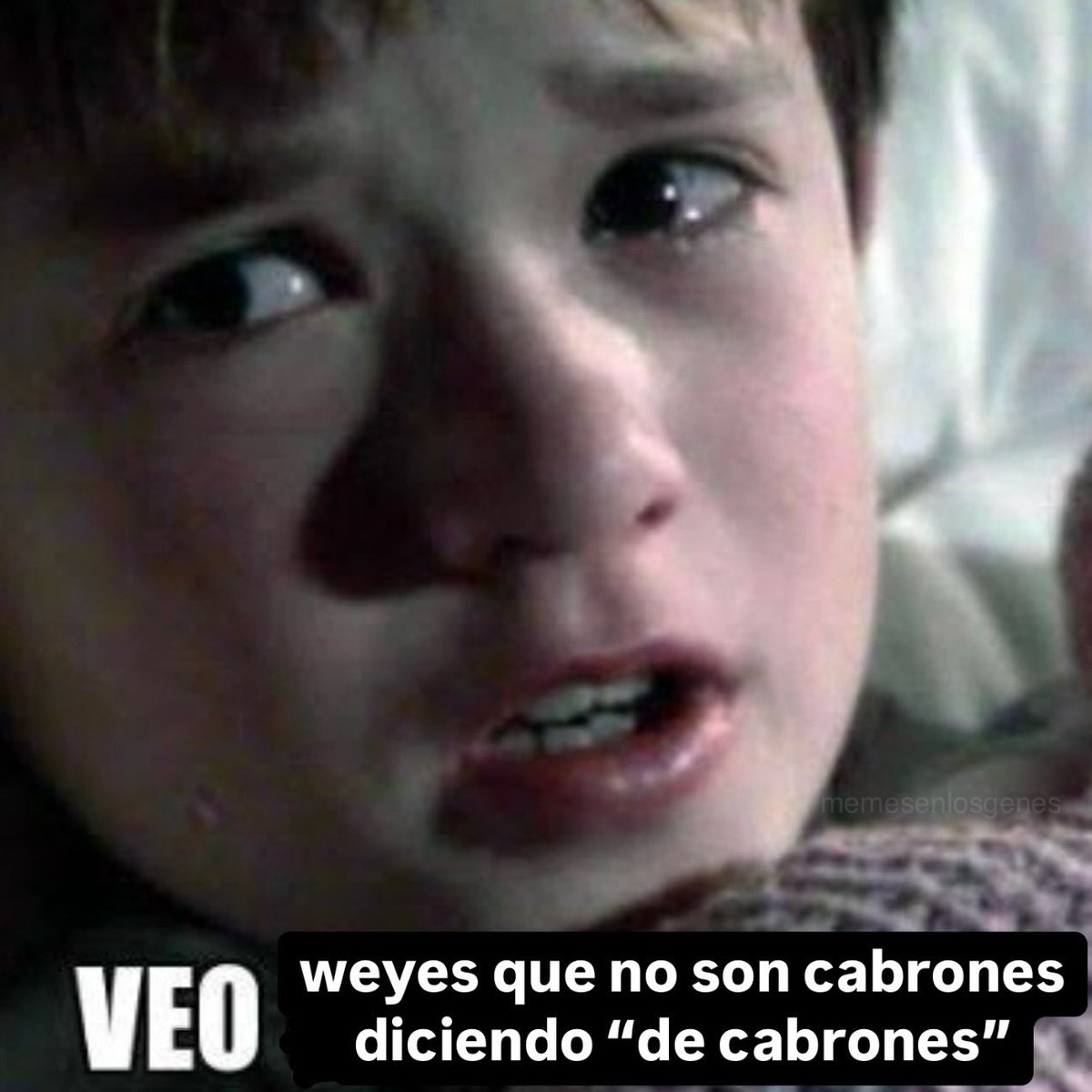 memesenlosgenes's tweet photo. https://t.co/hOvqV9vzqL