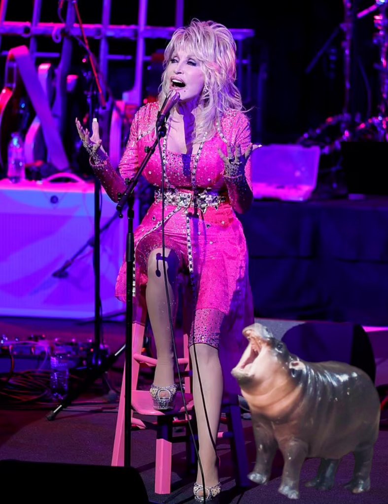 RiotGrlErin's tweet photo. moo deng on stage with dolly parton: thread https://t.co/ri662EnYdl
