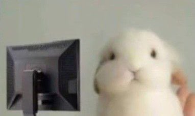 Tori Trevino's Instagram, Twitter & Facebook on IDCrawl