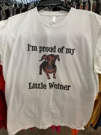 horse dentist tweet media