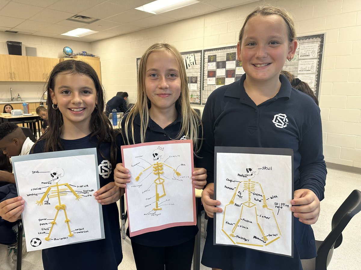 MrsCollaton's tweet photo. Pasta Musculoskeletal Systems! 💀🦴 @StCeciliaHCDSB https://t.co/oeCvaN4R0N