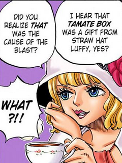 Daily Stussy 💋🦇 (@dailystuzzy) on Twitter photo 