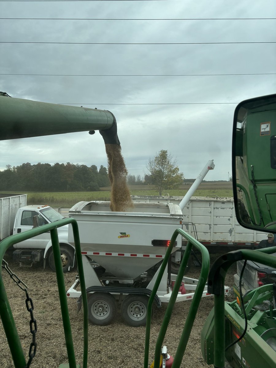 Another soybean plot for the books in Wellington County! Plot was planted on May 16th, 30” rows. 

🥇DKB07-59XF, 68.7 bu/ac
🥈Stine 05EG62, 67.5 bu/ac
🥉Stine 06EG29, 64.8 bu/ac