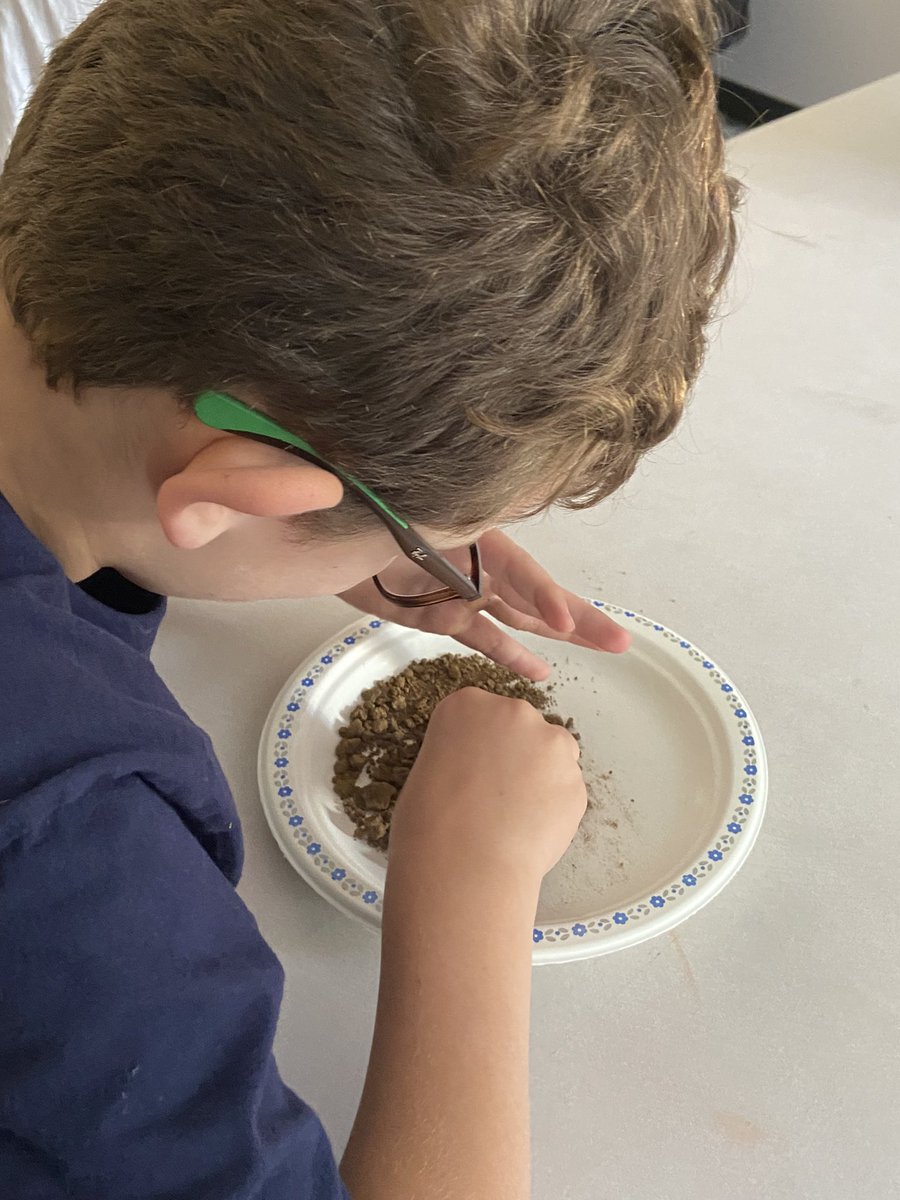 Sophia Hewitt tweet media