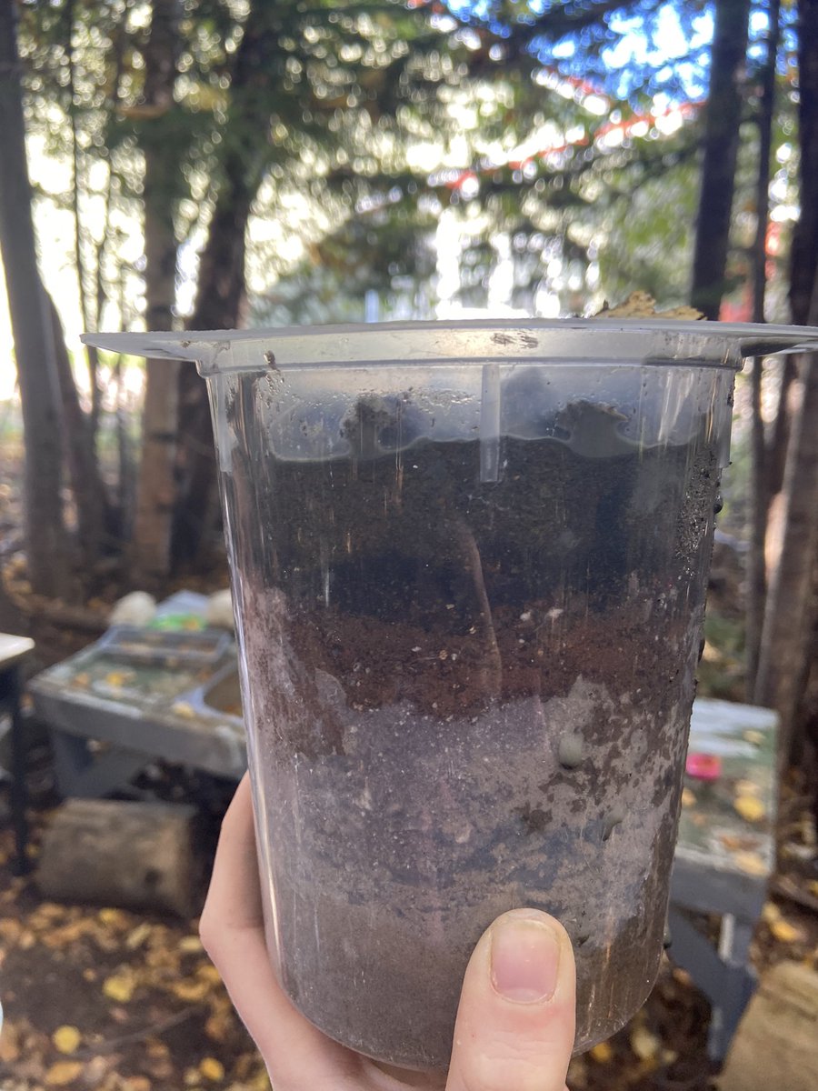 Soil exploration. Thank you to Rideout’s Farm in Cormack for donating some soil samples for us to examine #elementary
