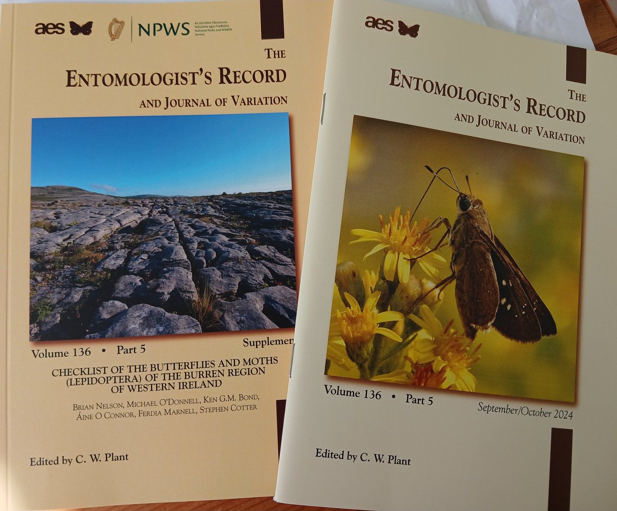 Bog-trotter tweet media