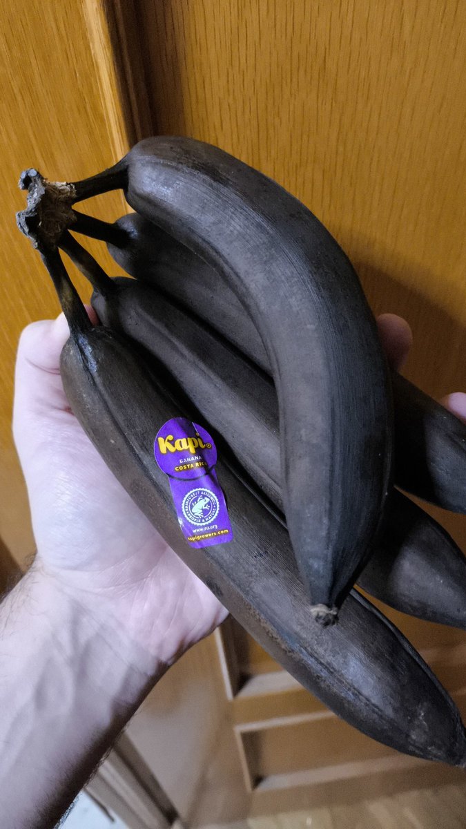 Detrás de un gran meme, hay una gran verdad.