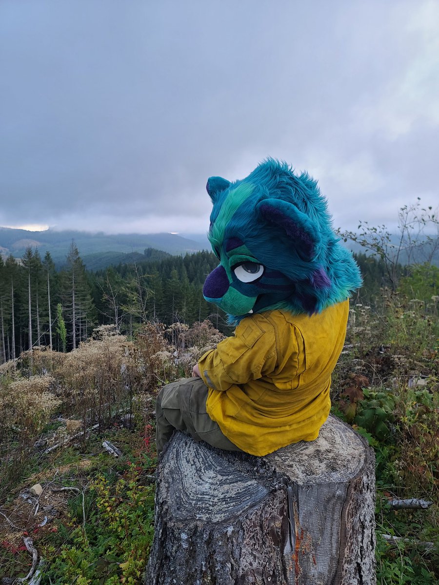 Paradoxlyte's tweet photo. Wanna go on a hike? 
-
-
-
#FursuitFriday #wildlandfirefighter https://t.co/7JXTvlNiD2