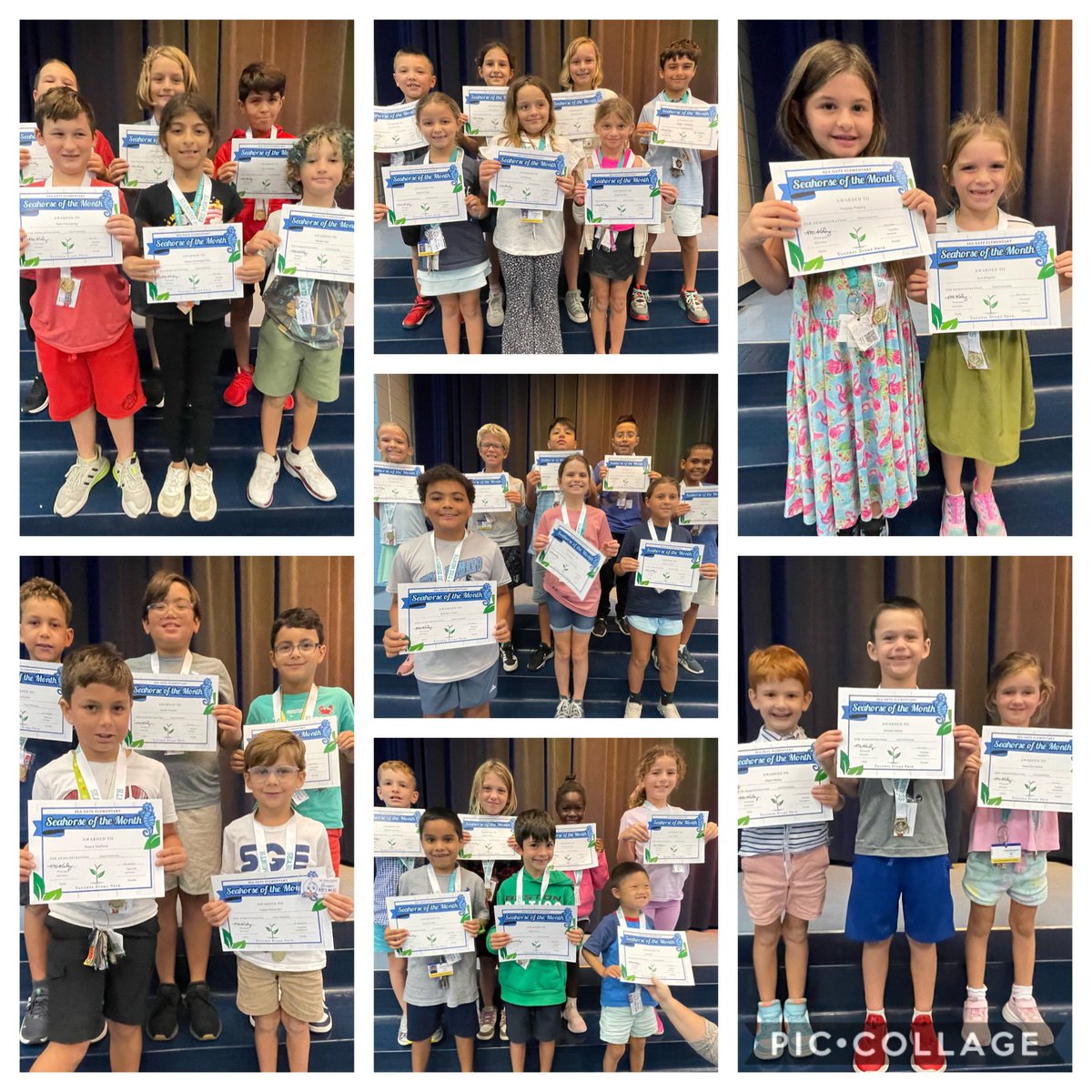KatieCarney317's tweet photo. ⭐️Presenting⭐️…
Our Seahorses of the Month for September: Good Citizenship
🩵🏅
@SeaGateES #SuccessGrowsHere https://t.co/DJlsvPpEeT