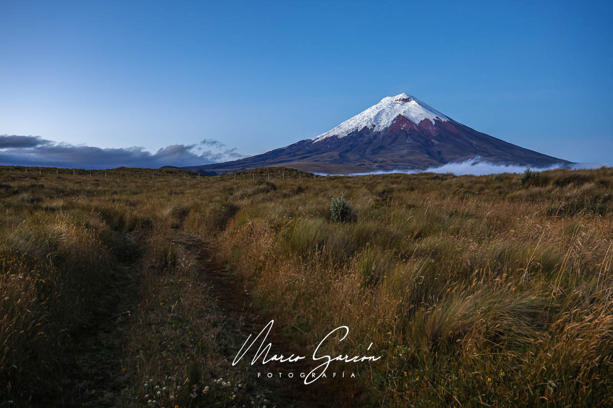 marcogarzongaia's tweet photo. La fotografía de paisaje es más que capturar una vista; es contar la historia de la naturaleza a través de tu lente. https://t.co/qYgcGvgKFt https://t.co/BQqAAVsKyH