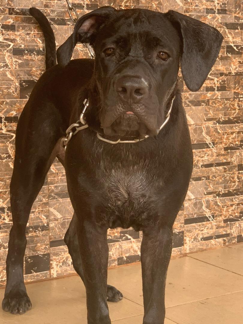 Jim John (@jimjohn1513376) on Twitter photo 