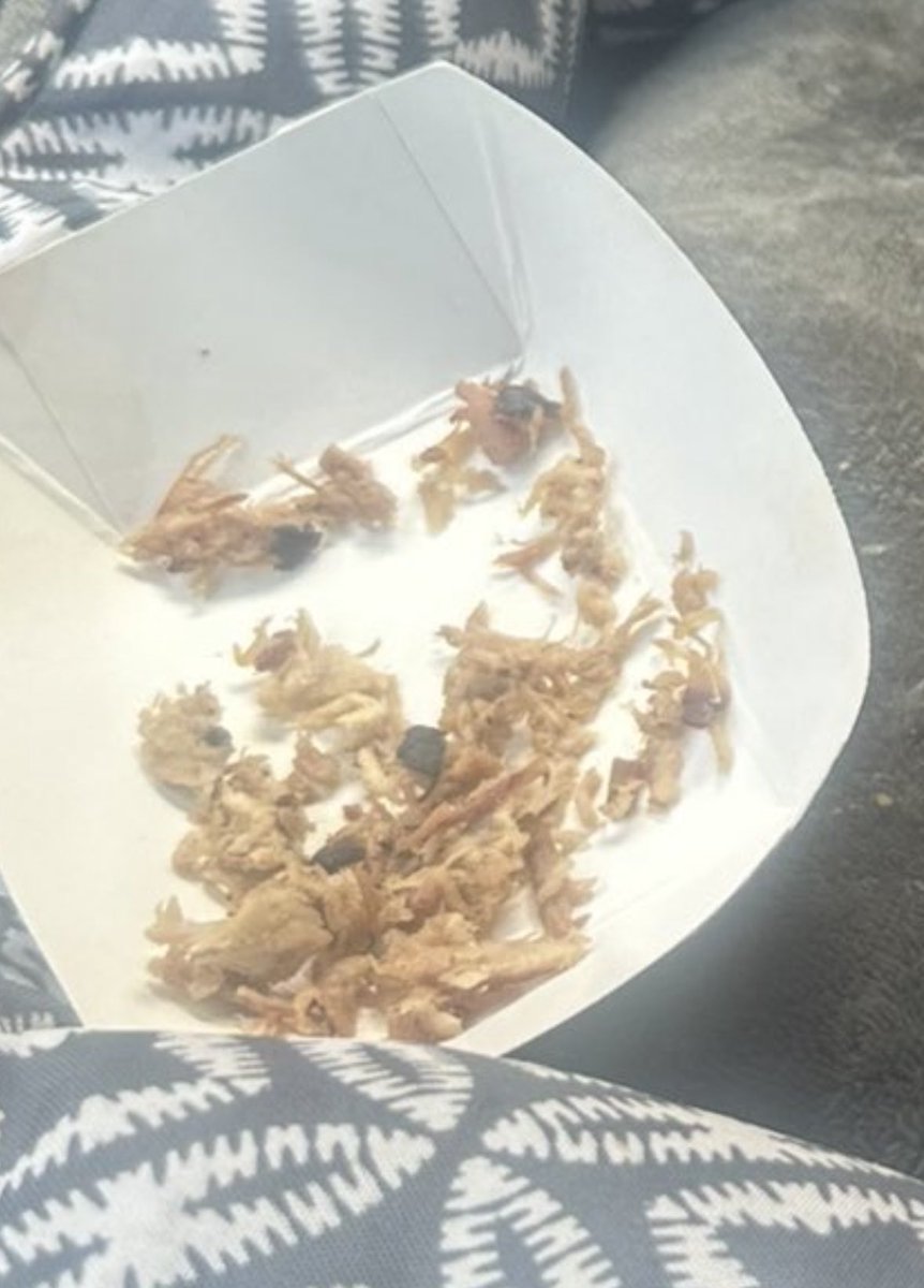 MikeMorganKFOR's tweet image. That Looks Cajon. #GizmoThoughts