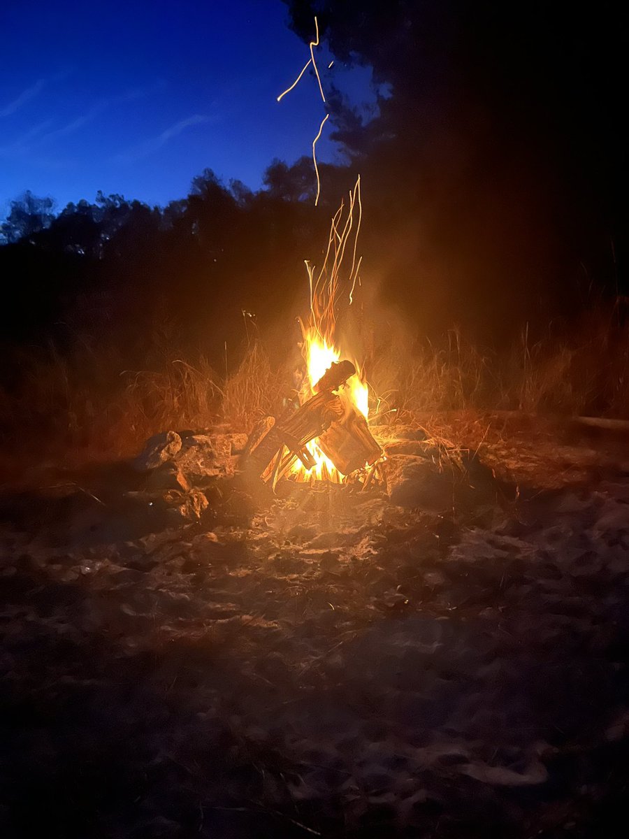 ToadYem's tweet image. 