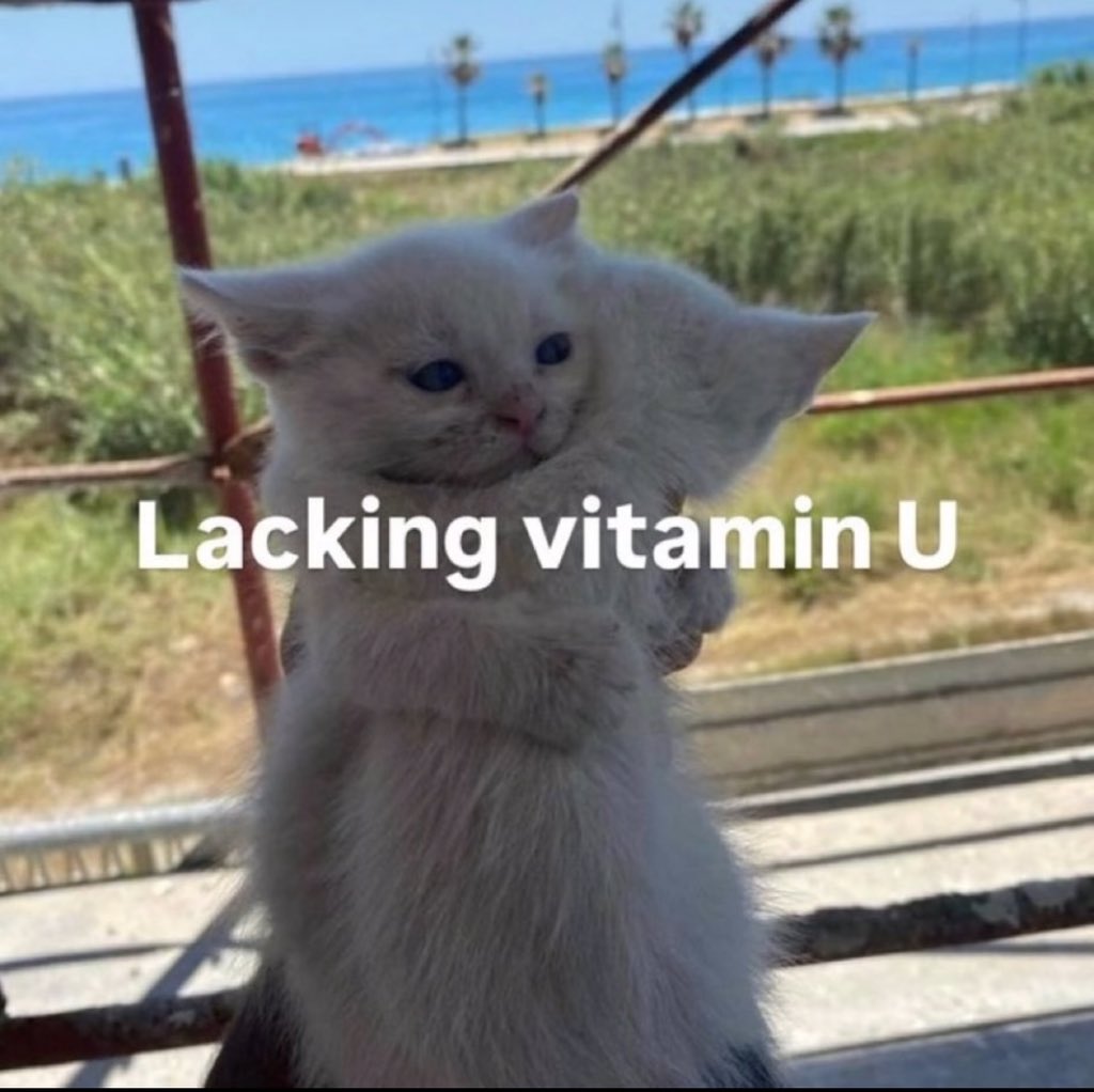 the only vitamin i need