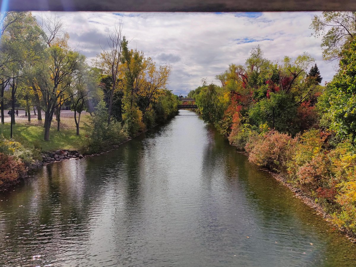 Theveraciousdoc's tweet image. There was a time the earth and  common sight to me did seem apparelled in celestial light, It&apos;s not now as it hath been of yore...But there&apos;s a tree, of many one, a single field which I&apos;ve looked upon...Wither is fled the visionary gleam? Where is it now, the glory and the dream?