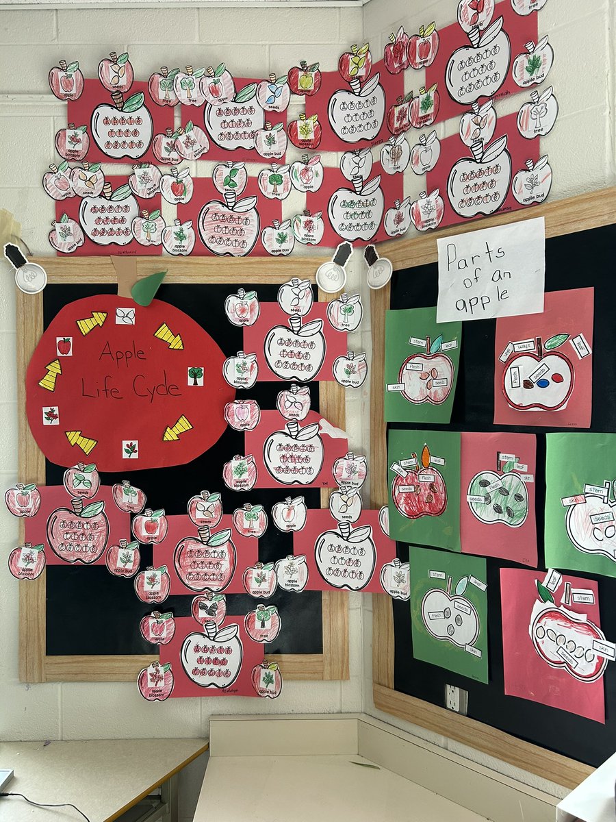 mrslevante's tweet photo. Our Apple Inquiry has come to an end…yummy and delicious apples 🍎🍏 @TCDSB @Ms_Russo_  @idalipreti  @tdece1 https://t.co/EmiZJ2Dupg