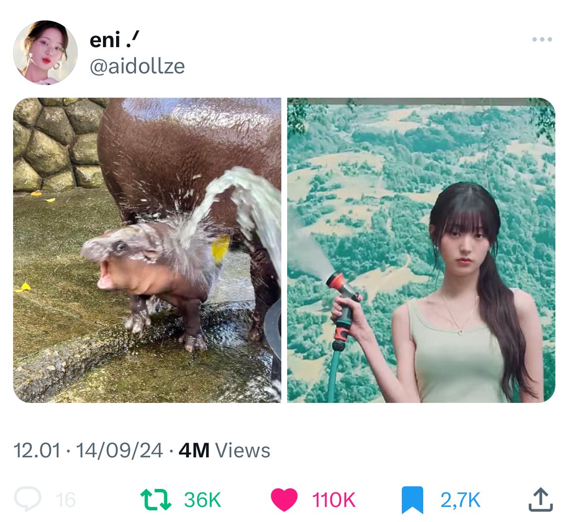 jangsist's tweet photo. What about this? 🤣🤣 https://t.co/9gWyISlDdg