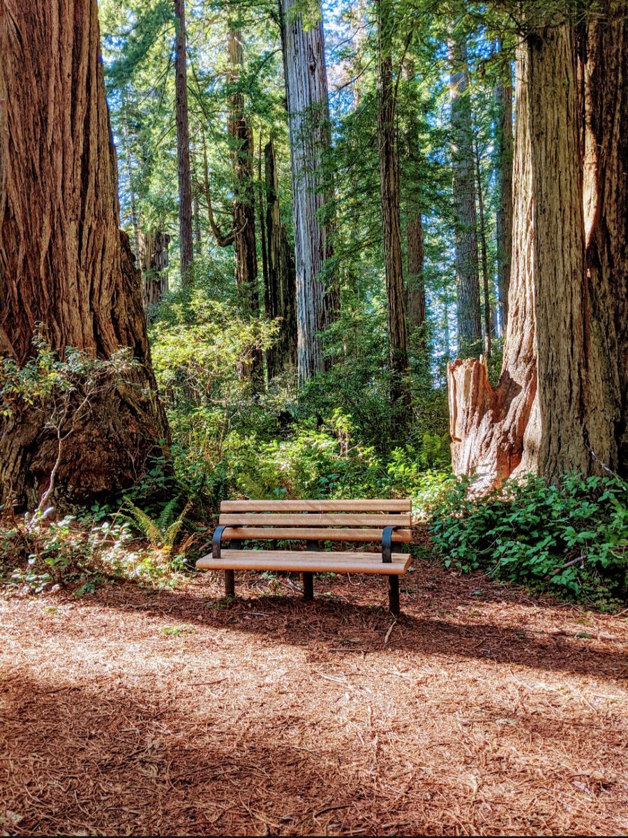 alexander harper (@alexanderh41691) on Twitter photo 