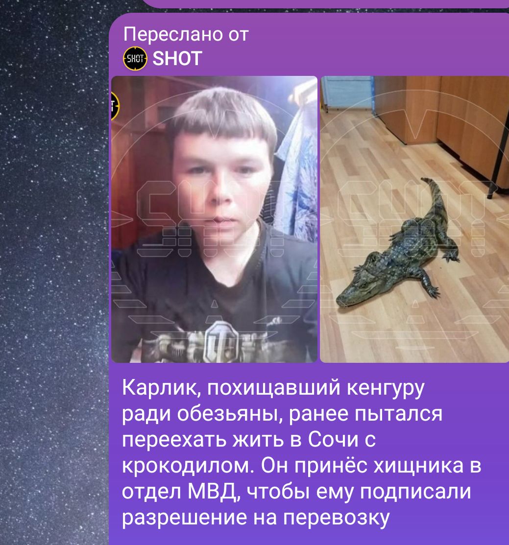 Каждое слово этой новости вызывает у меня восторг:
"Карлик, похищавший кенгуру ради обезьяны, ранее пытался переехать жить в Сочи с крокодилом"