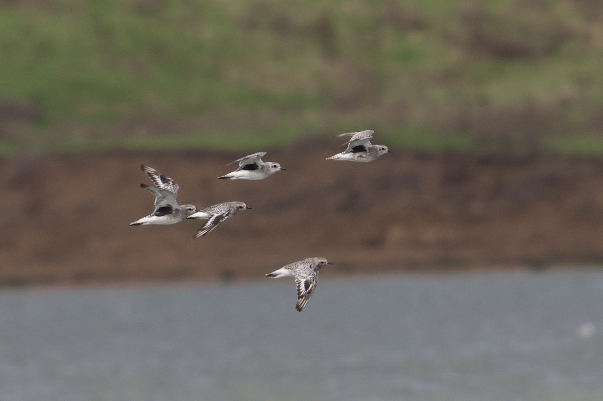 Jonathan Boyce Leigh tweet media