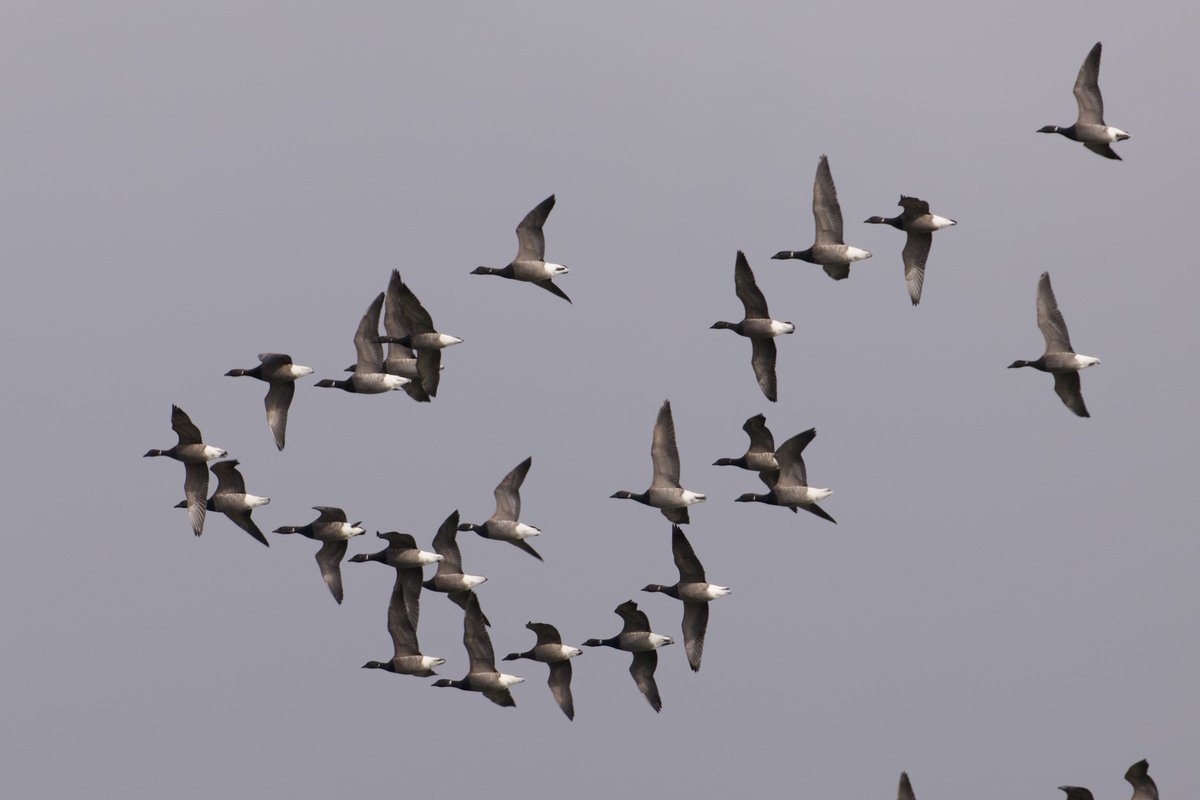 Jonathan Boyce Leigh tweet media