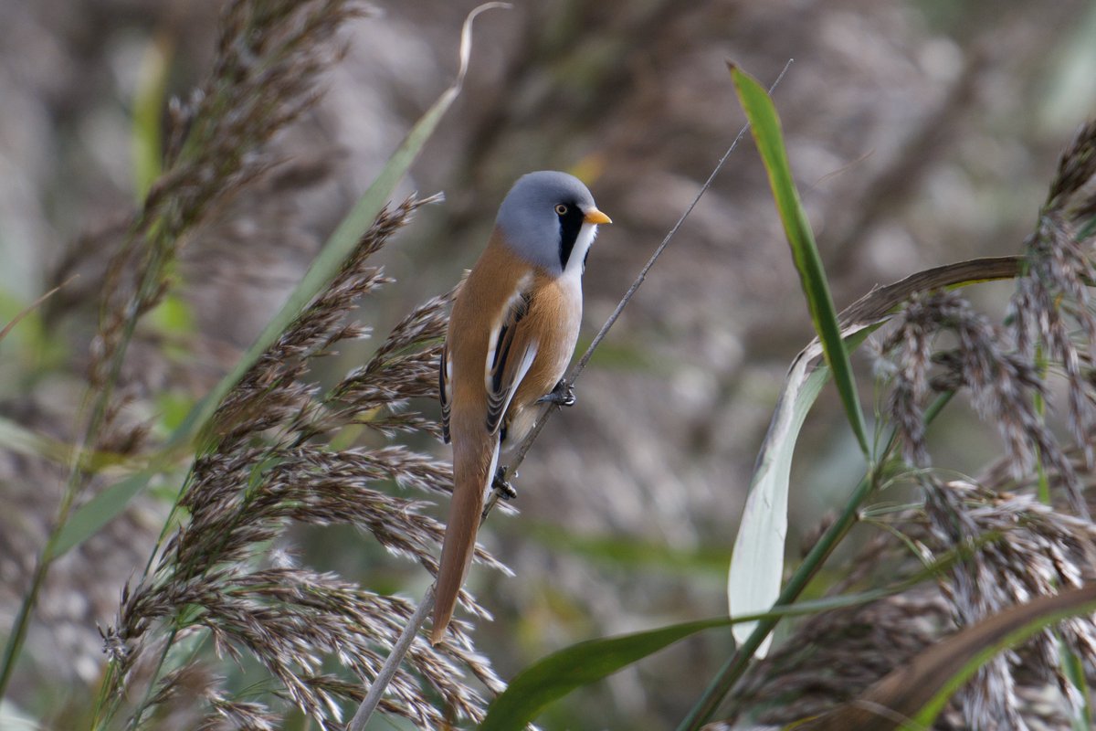 Jonathan Boyce Leigh tweet media