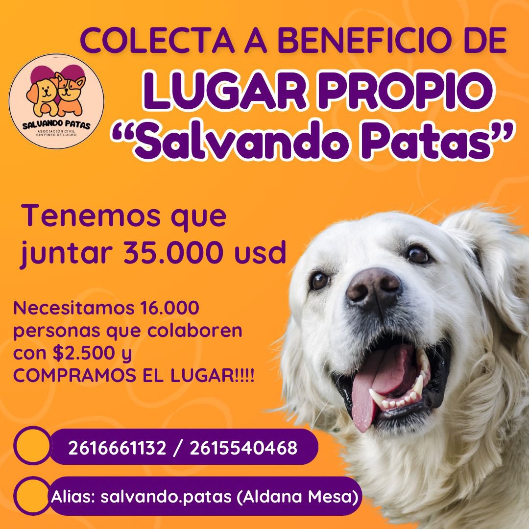 SalvandoPatas_'s tweet photo. Nos ayudas con $2.500?????? 🙏🏼❤️ https://t.co/uIOMeZqmDO