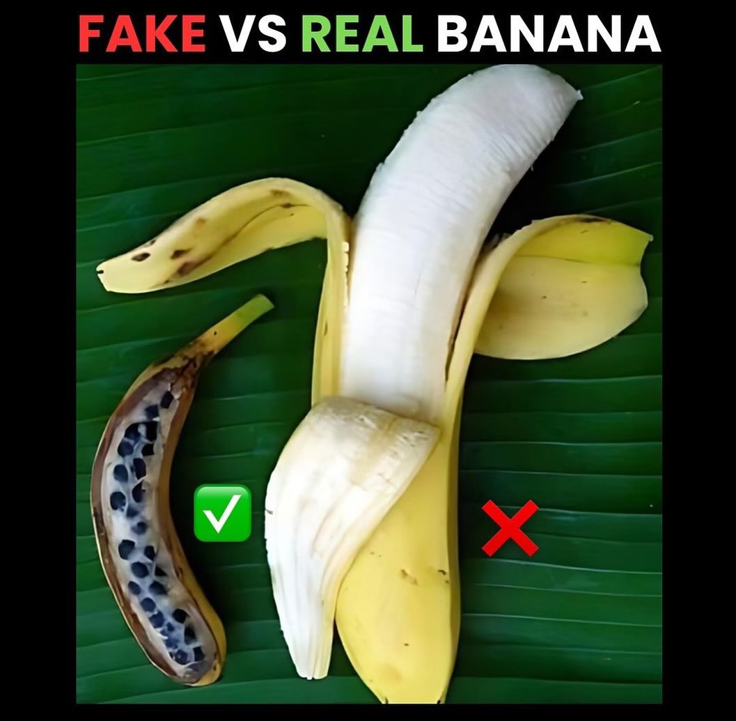 FredsFarm247's tweet photo. Real vs Fake 👇🏽 https://t.co/mIeeOcSkyN